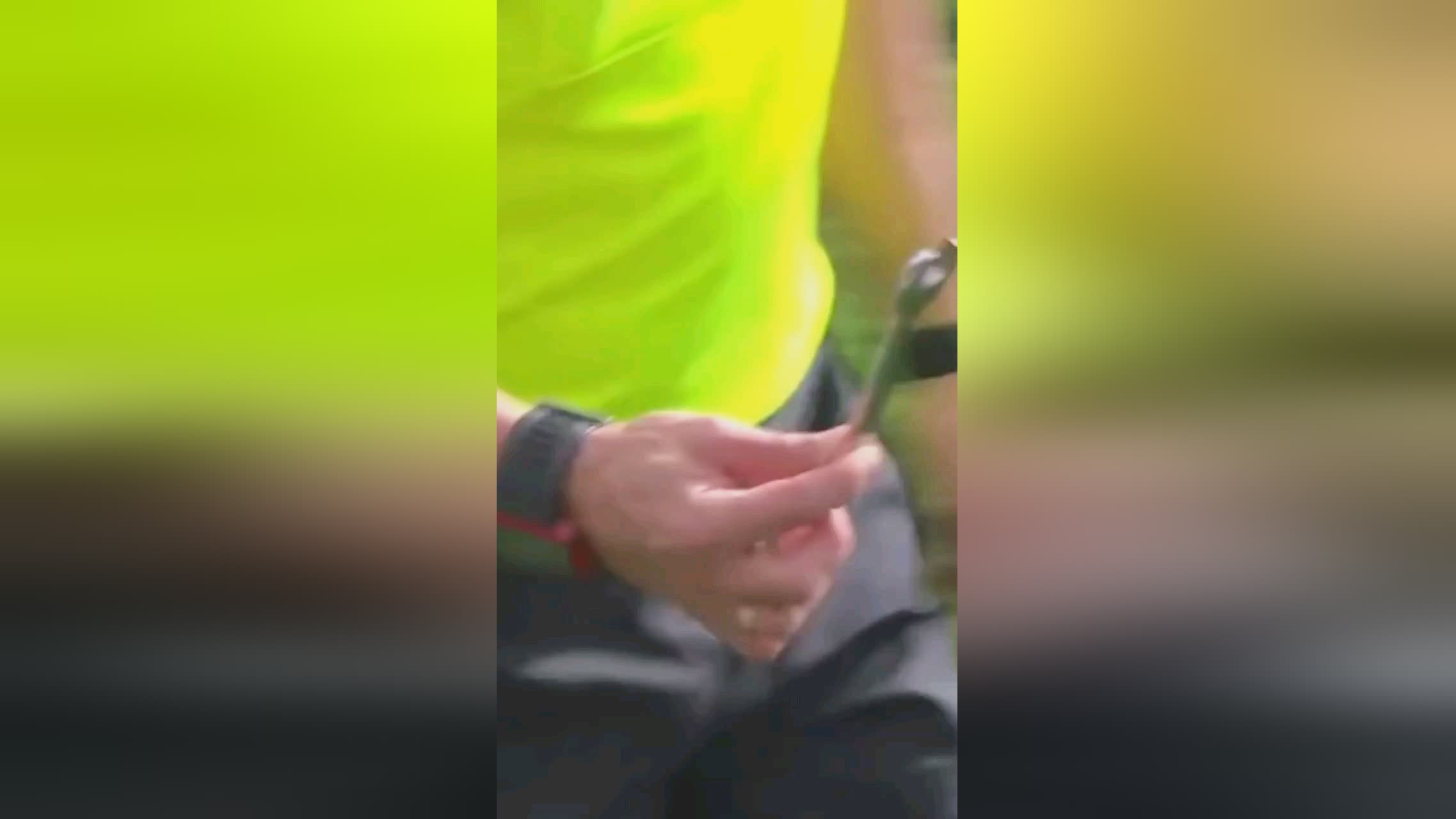 终总冠军的